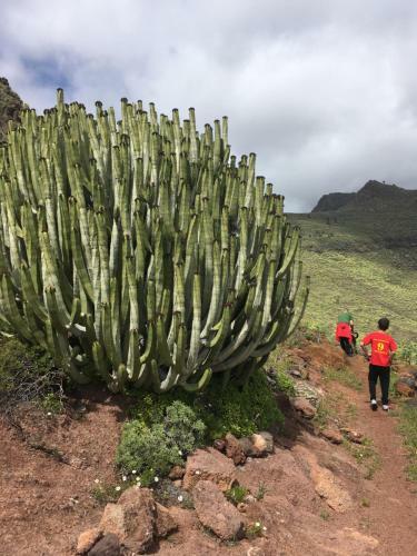 Apartamento Casa Manel, La Gomera
