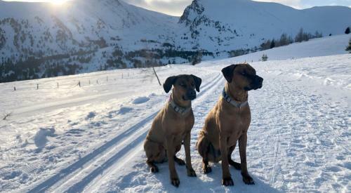 Chalet Schneehase Heidialm Falkertsee K�rnten