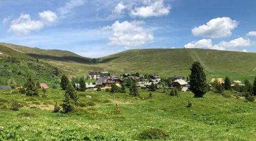 Chalet Schneehase Heidialm Falkertsee K�rnten