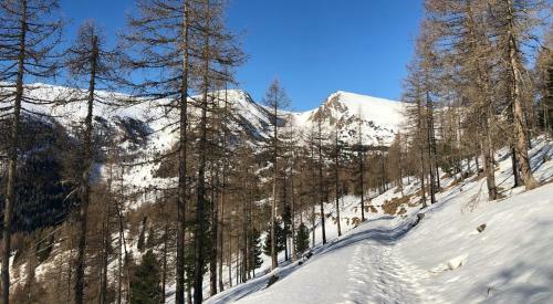 Chalet Schneehase Heidialm Falkertsee K�rnten