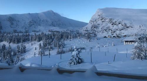 Chalet Schneehase Heidialm Falkertsee K�rnten