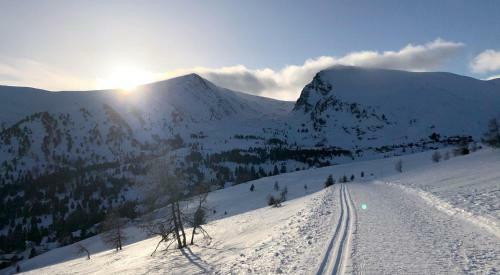 Chalet Schneehase Heidialm Falkertsee K�rnten