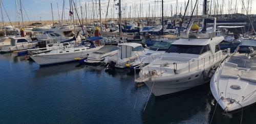Apartamento Aguamarina 433
