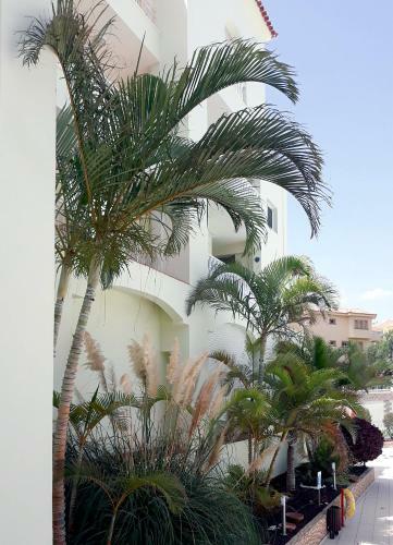 Apartamento Tenerife South Ocean Golf