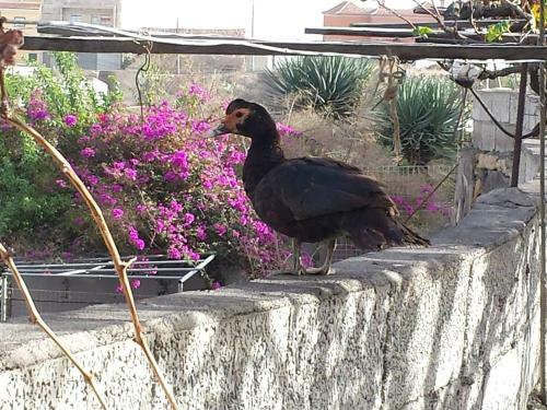 Agroturismo Casa Maria Luisa