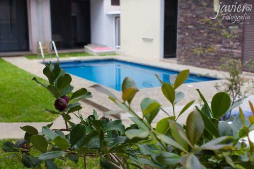 Apartamento Lofts En Cuernavaca Con Alberca Climatizada
