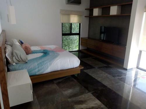 Modern House Palmira