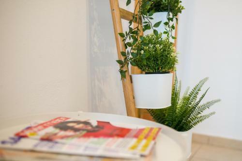 Apartamento Mariposa