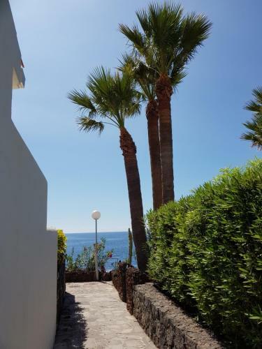 Apartamento San Miguel Village