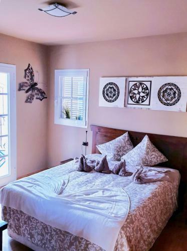 Bed & Breakfast Tenerife
