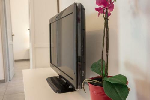 Apartamento Libelula