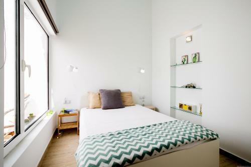 Cactus Apartment