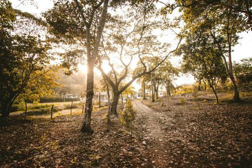 Caba�a En Tepeticpan-ecoparque