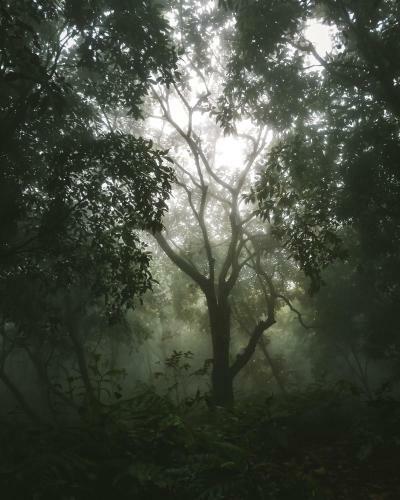 Caba�a En Tepeticpan-ecoparque