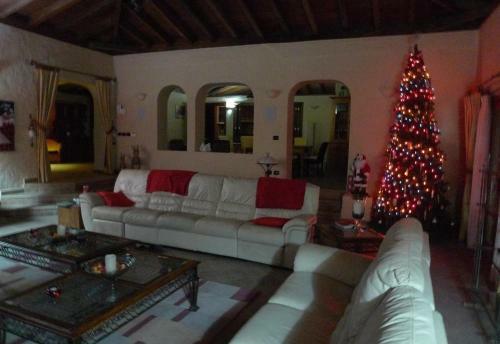 Villa Finca Toredo