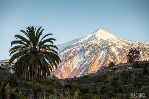Apartamento Tenerife Da Sogno