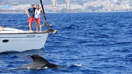 Apartamento Tenerife Da Sogno