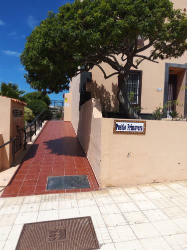 Apartamento Tenerife Da Sogno
