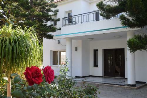 Deluxe First Line Villa