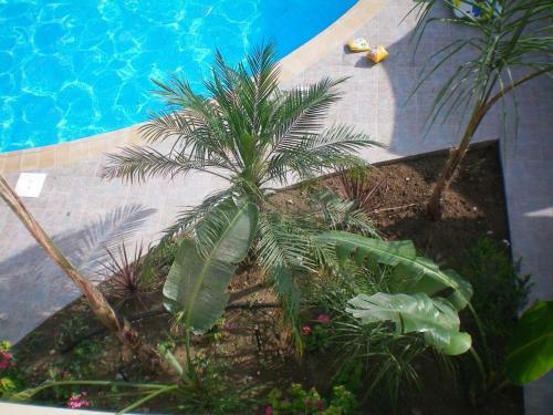 Excellent 2 Bed Apartment With Pool View, AC & Gym!