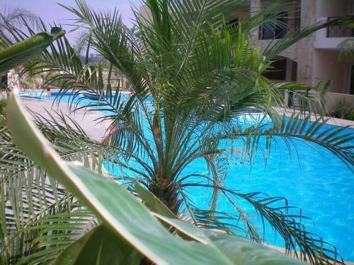 Excellent 2 Bed Apartment With Pool View, AC & Gym!