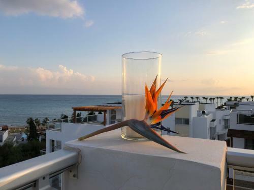 Marina View Villa 11