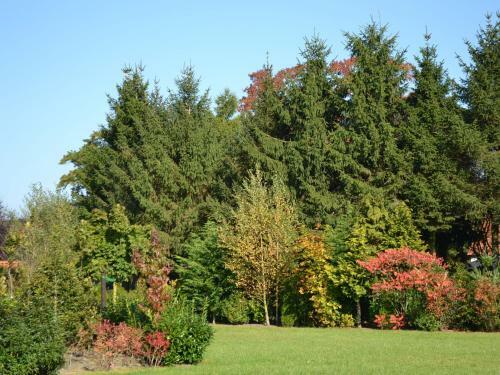 Cozy Holiday Home In Eerbeek With Private Garden