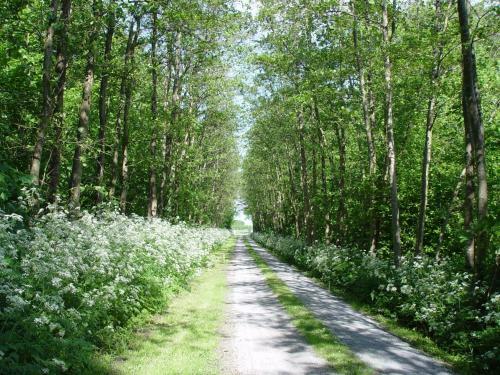 Bed & Breakfast Landgoed Wilgenheerd