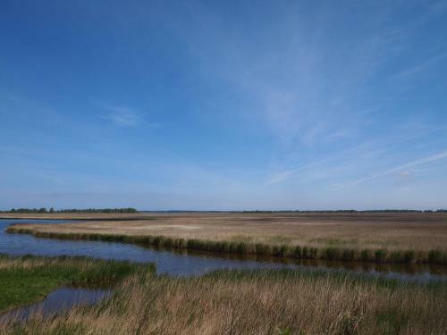Bed & Breakfast De Energiek