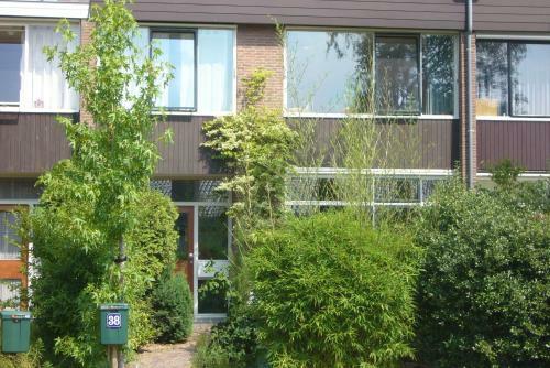 B&B Heijendaal