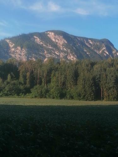 Apartamento Appartment Resi Wohlf�hlen Und Relaxen