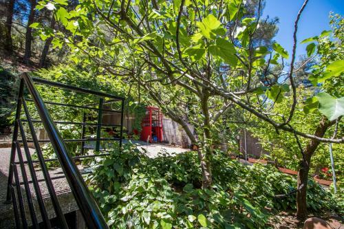 Kyveli Cottage By Agroholidays