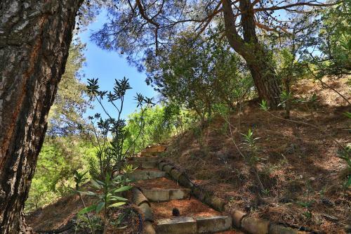 Kyveli Cottage By Agroholidays