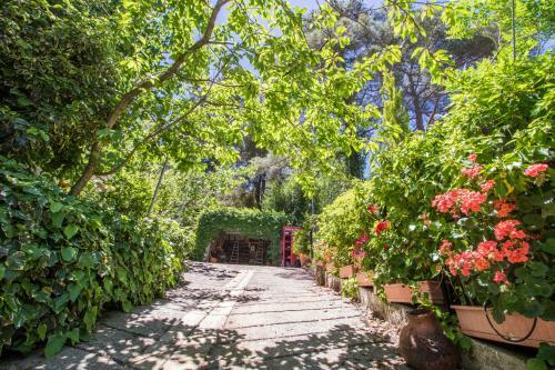 Kyveli Cottage By Agroholidays