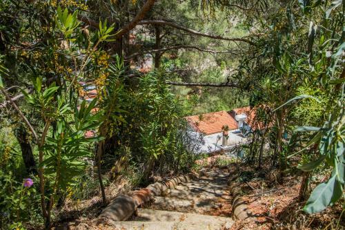 Kyveli Cottage By Agroholidays