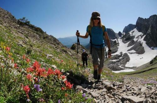 Polar Peak #11