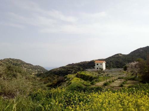 Beautiful "aggos Cliff" House In Pissouri Cyprus