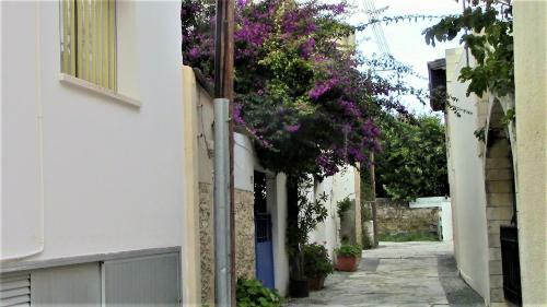Apartamento 213 Pissouri Vines