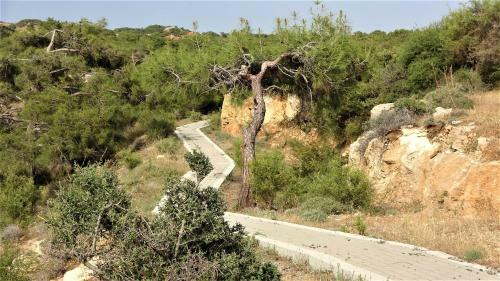 Apartamento 213 Pissouri Vines