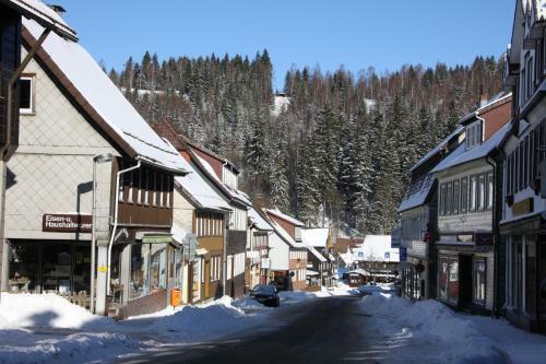 Apartamento Harz-sonne