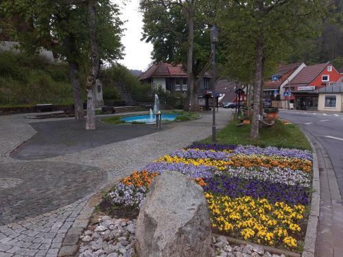 Apartamento Ferienwohnung Crisand Mit Terrasse Und Wlan