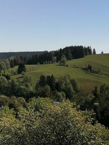 Apartamento Ferienwohnung Crisand Mit Terrasse Und Wlan