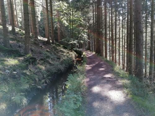 Apartamento Ferienwohnung-rita-zwei