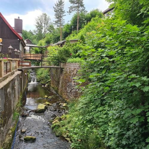 Apartamento Harz Im Herzen