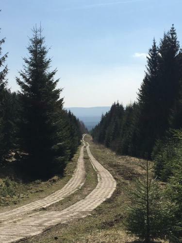 Apartamento Kleine Harzflucht