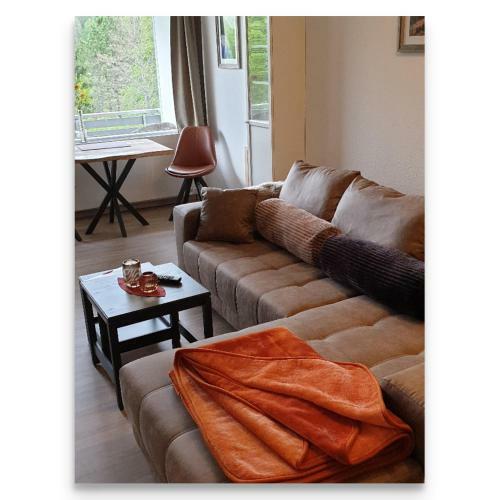 Apartamento Harz Zeit