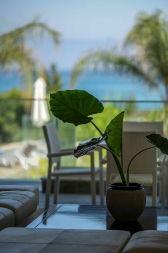 Villa Harmonia - 4 Bedroom Luxury Beach Front Villa With Private Swimming Pool