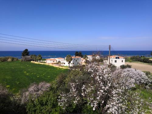 Apartamento Luxury Beach Studio Wh 23