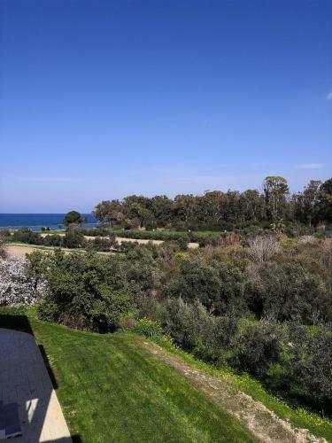 Apartamento Luxury Beach Studio Wh 23