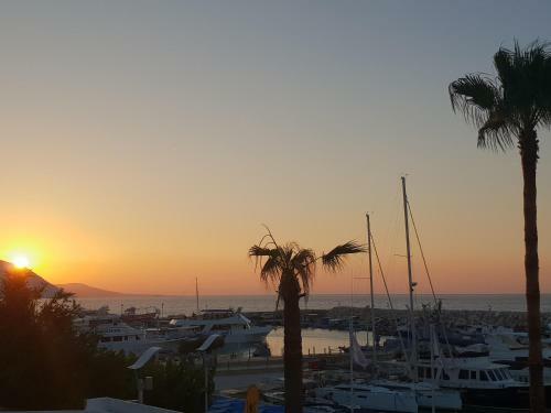 The Belvedere Apartment - Lachi Marina